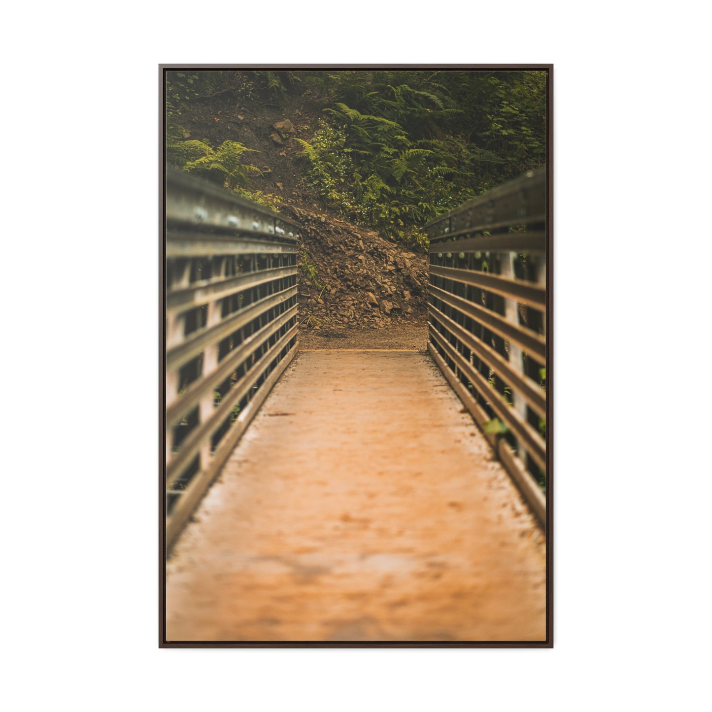Oregon - Upper Latourell Falls Bridge - Gallery Canvas Wraps, Vertical Frame