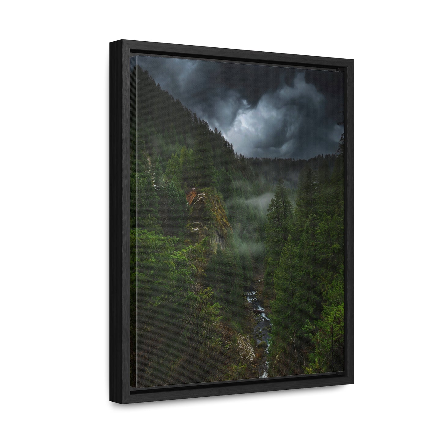 Oregon - Toketee Overlook - Gallery Canvas Wraps, Vertical Frame