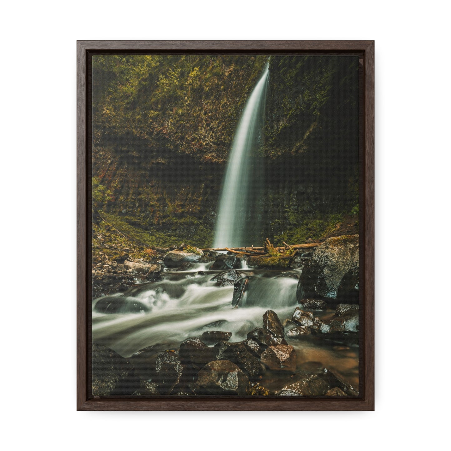 Oregon - Upper Latourell Falls - Gallery Canvas Wraps, Vertical Frame