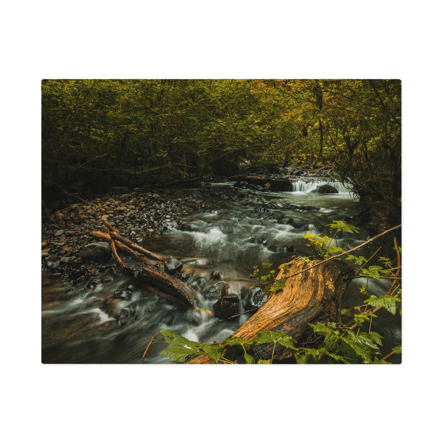 Oregon - Latourell Falls Small Creek - Jigsaw Puzzle (30, 110, 252, 500,1000-Piece)