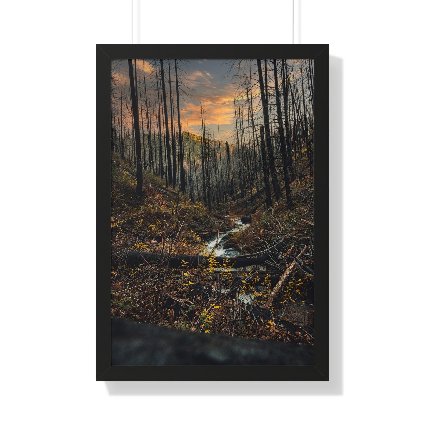 Oregon - Fall Creek Falls - Framed Vertical Poster