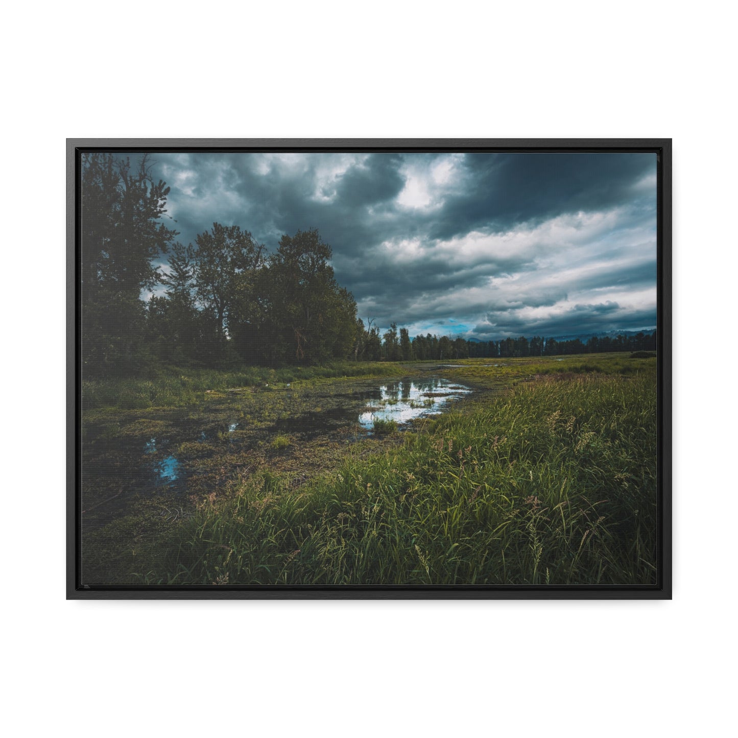 Washington - Steigerwald Lake National Wildlife Refuge - Gallery Canvas Wrap, Horizontal Frame
