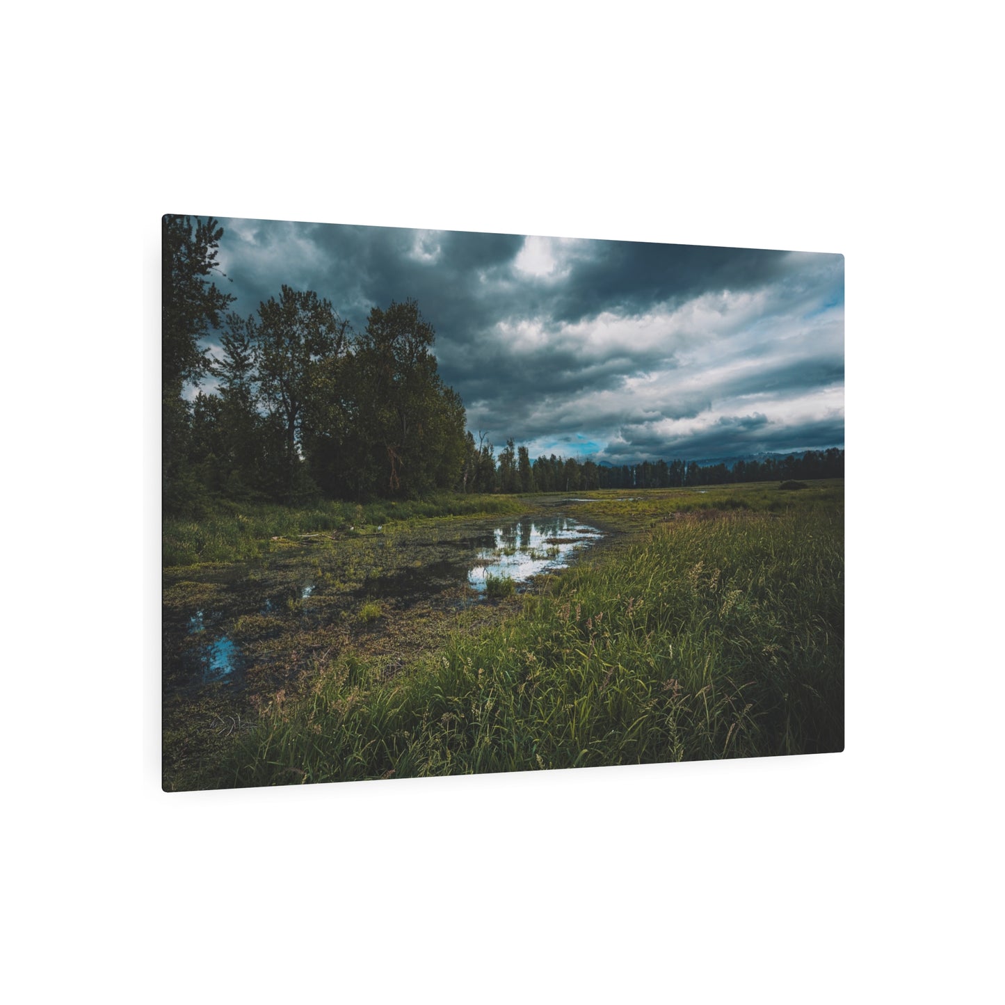 Washington - Steigerwald Lake National Wildlife Refuge - Metal Art Sign