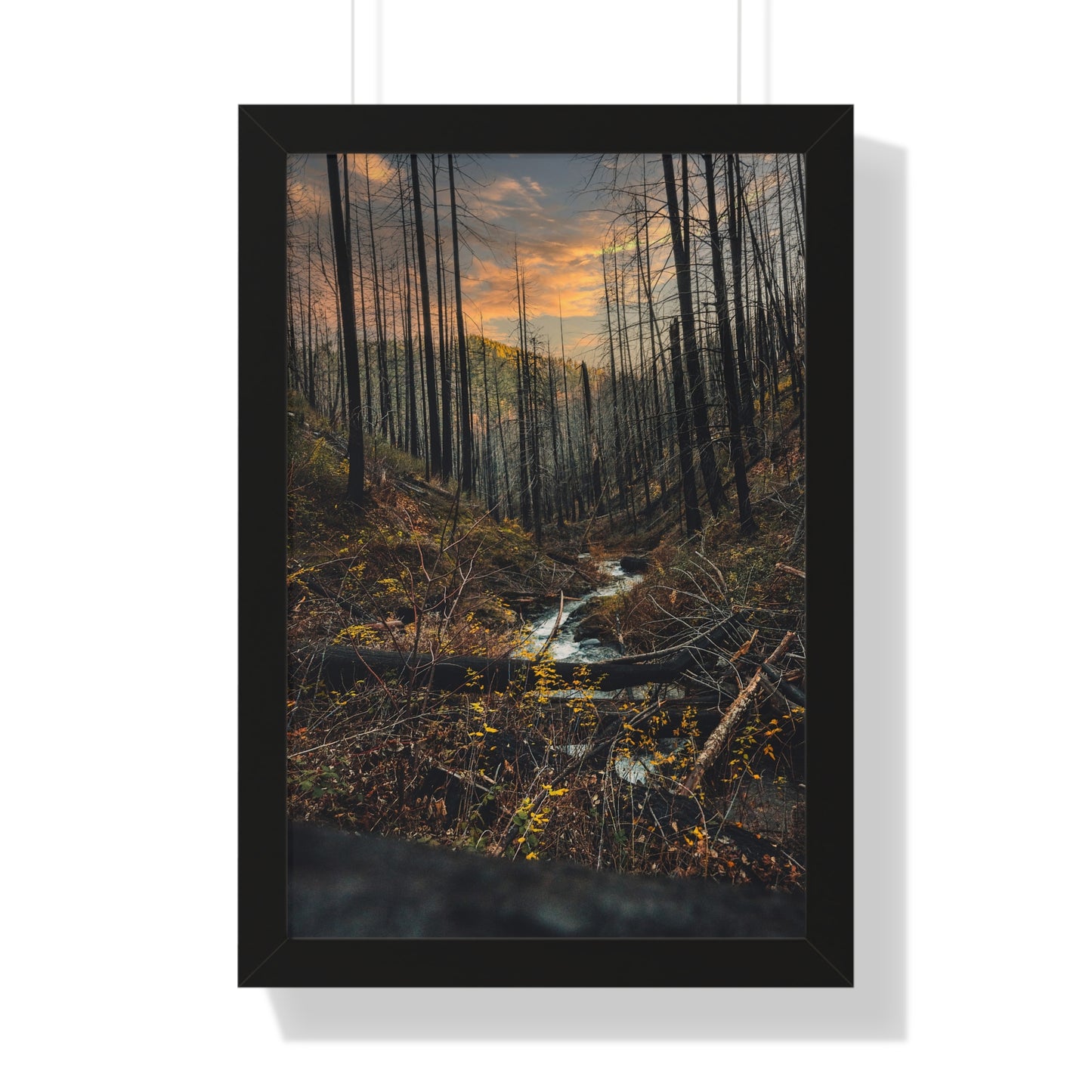 Oregon - Fall Creek Falls - Framed Vertical Poster