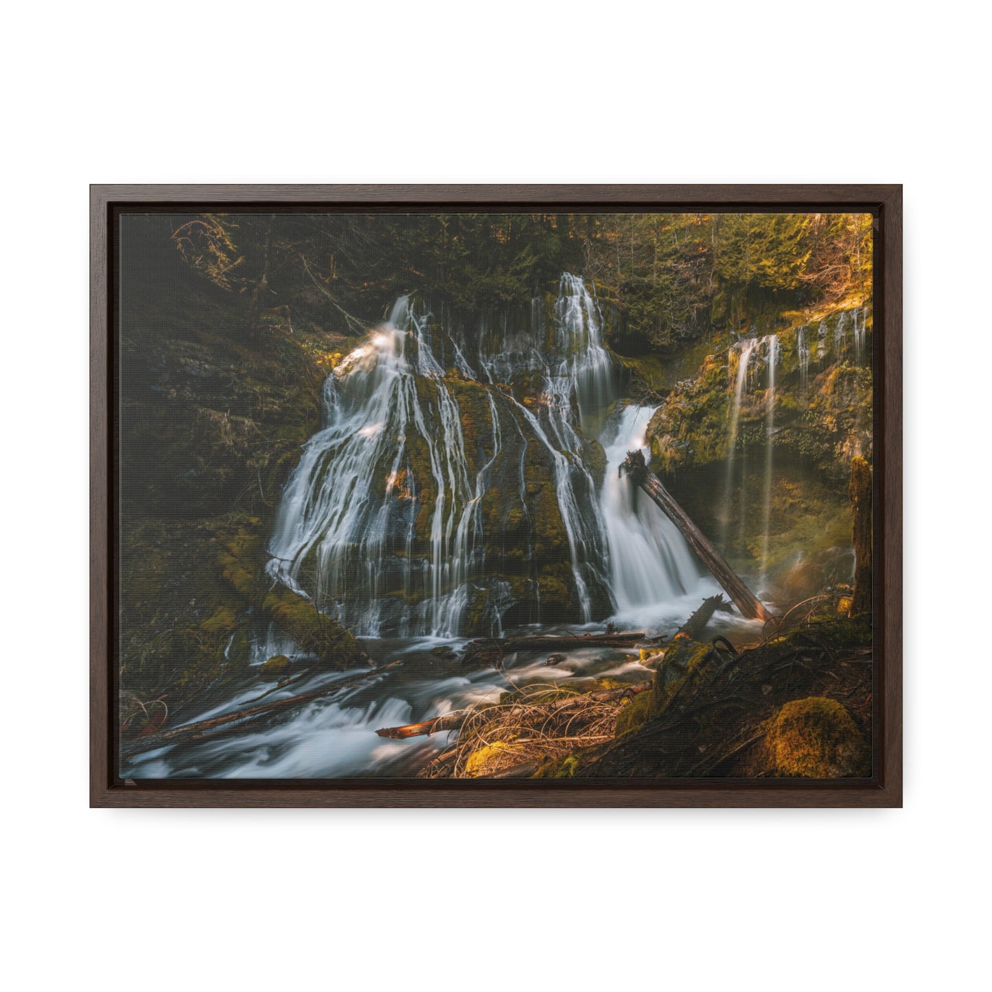 Washington - Panther Creek Falls - Gallery Canvas Wrap, Horizontal Frame