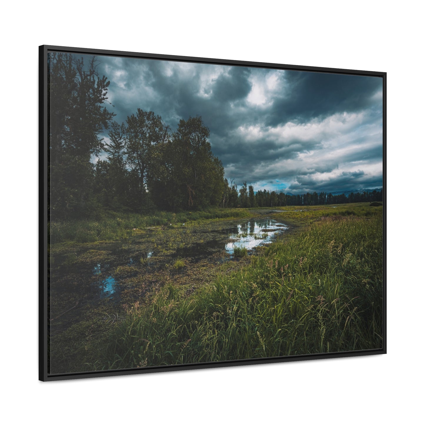 Washington - Steigerwald Lake National Wildlife Refuge - Gallery Canvas Wrap, Horizontal Frame
