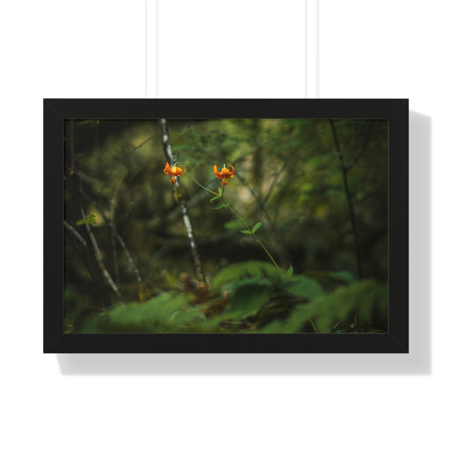 Oregon Tiger Lily - Framed Horizontal Poster