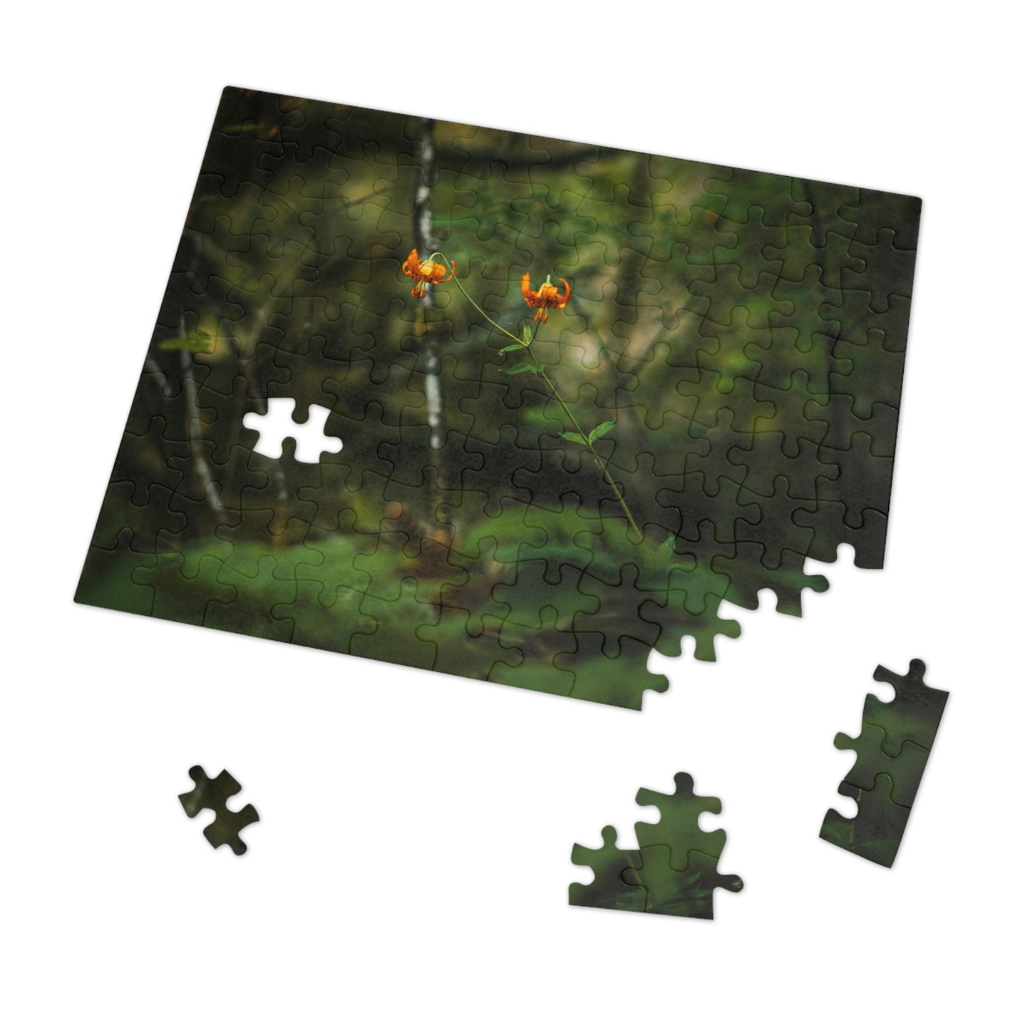 Oregon Tiger Lily - Jigsaw Puzzle (30, 110, 252, 500,1000-Piece)