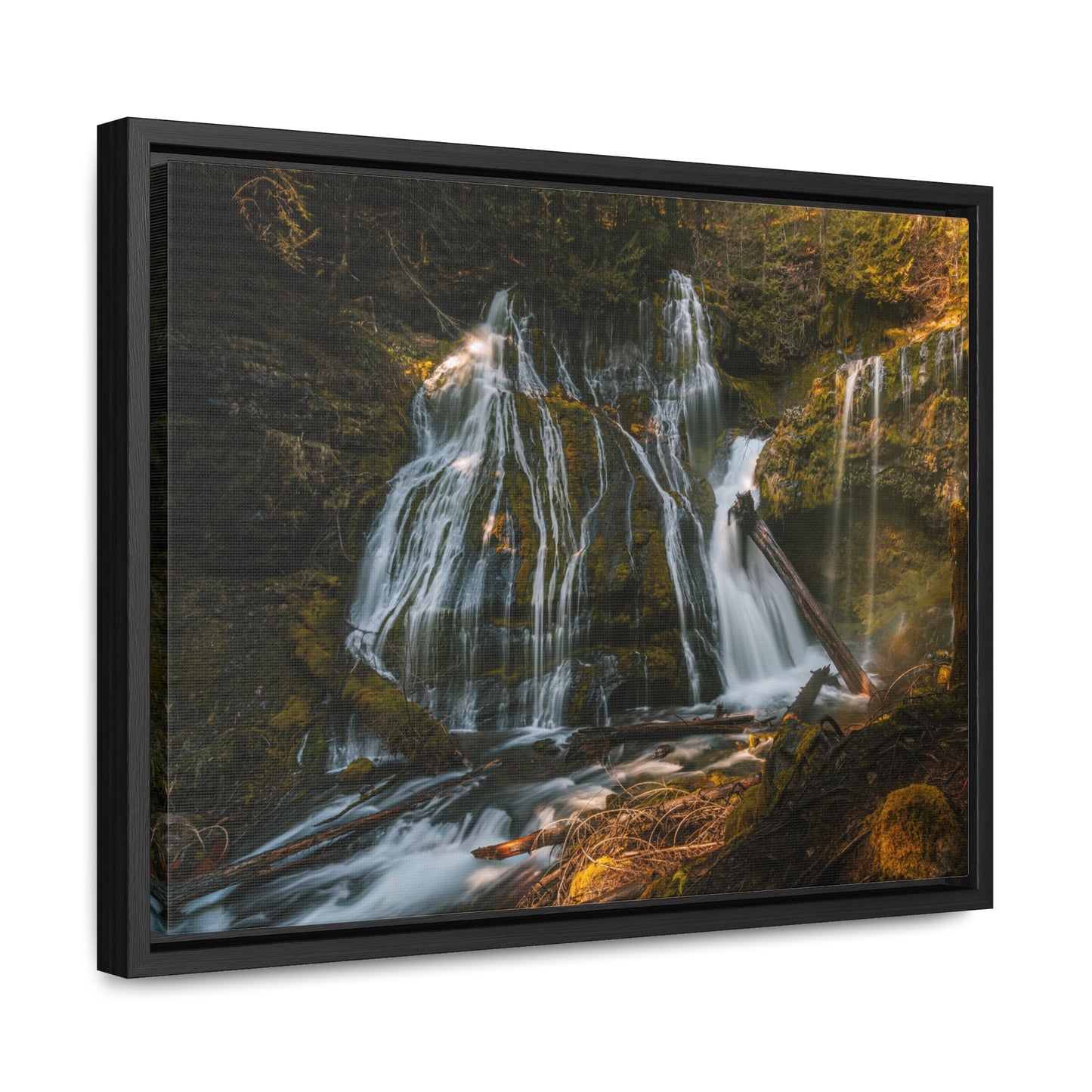 Washington - Panther Creek Falls - Gallery Canvas Wrap, Horizontal Frame