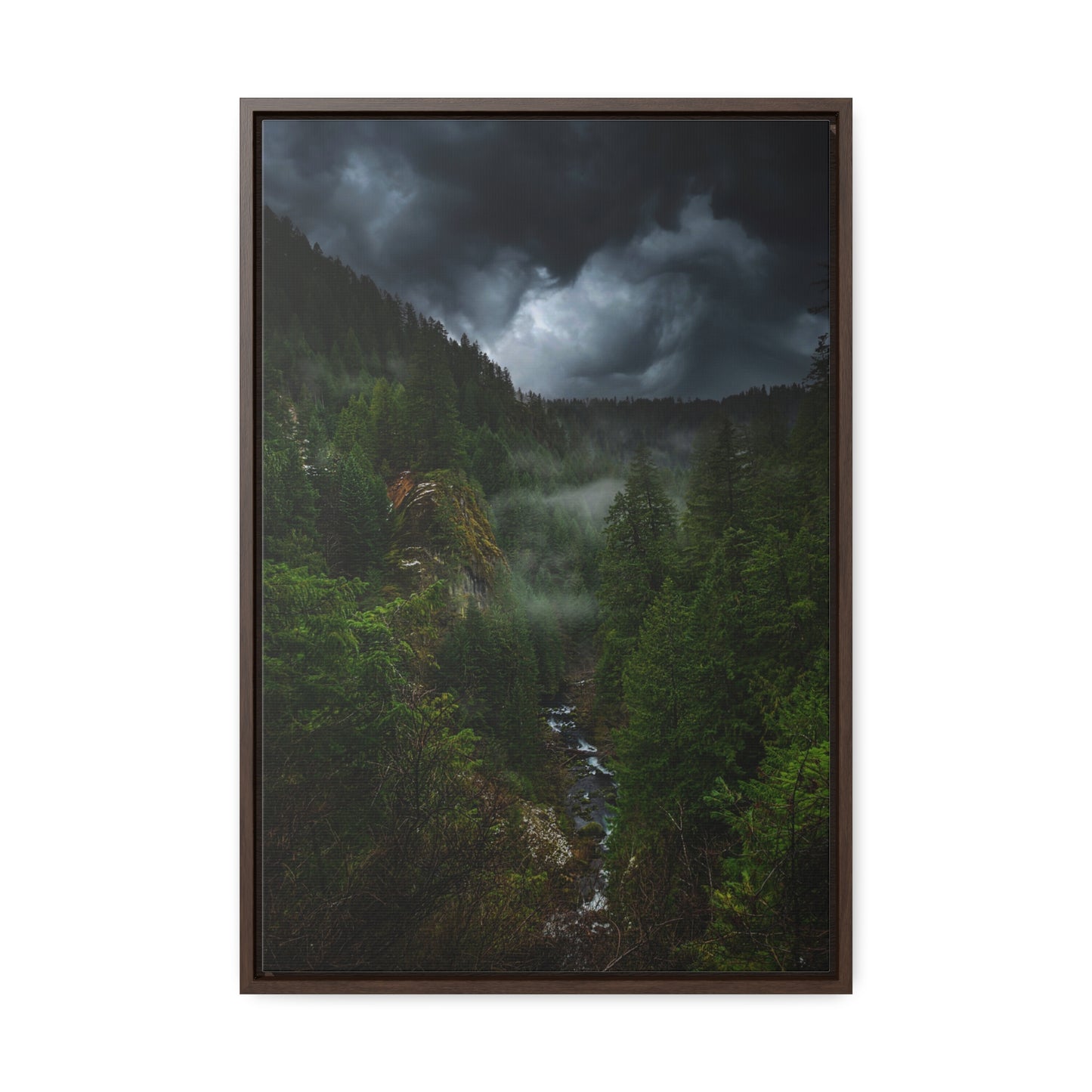 Oregon - Toketee Overlook - Gallery Canvas Wraps, Vertical Frame