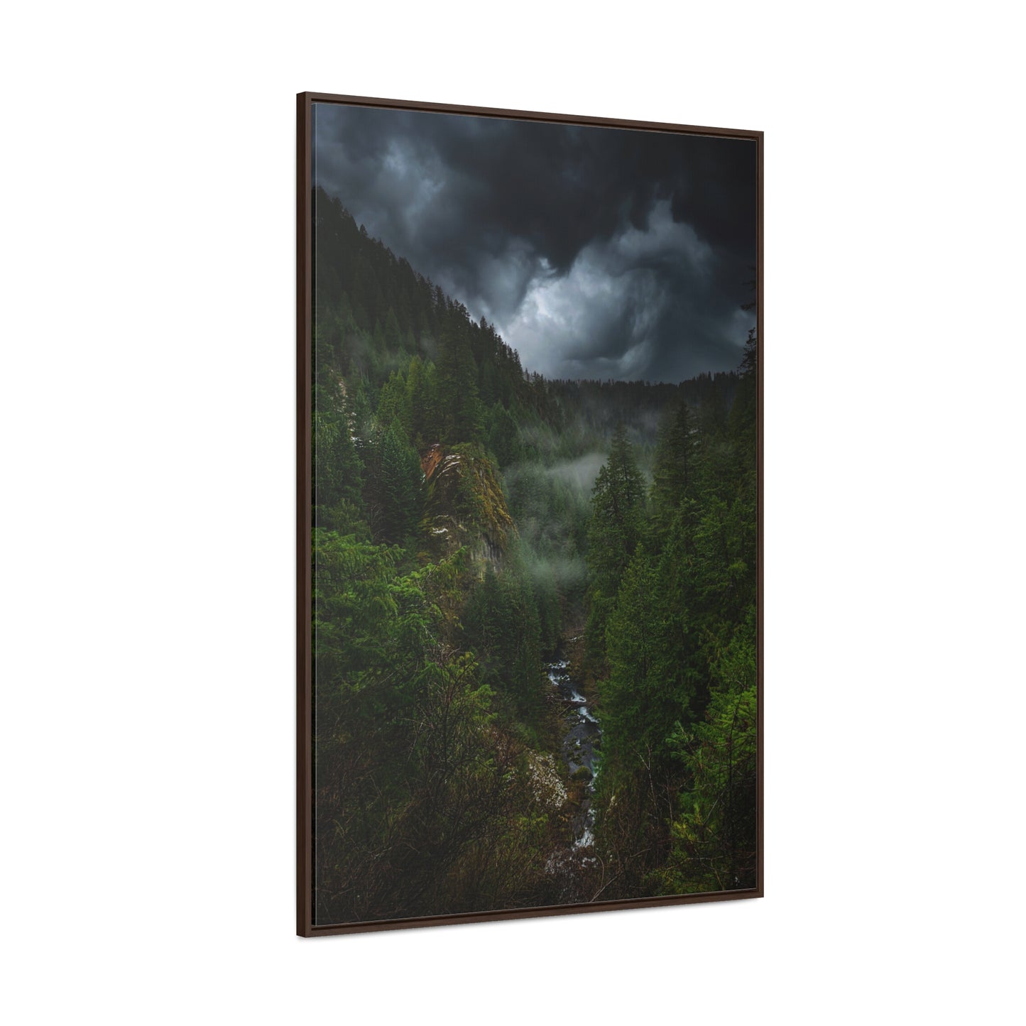Oregon - Toketee Overlook - Gallery Canvas Wraps, Vertical Frame