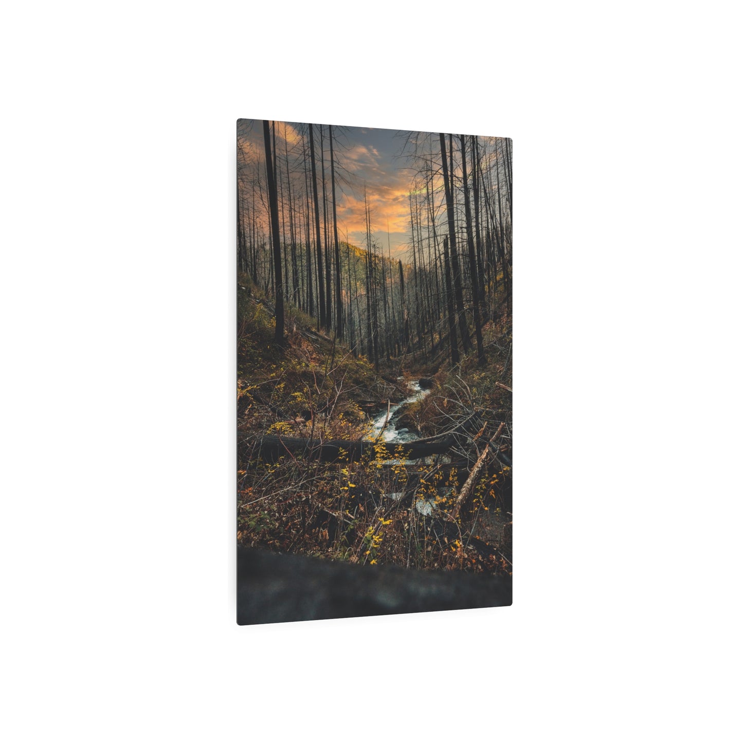 Oregon - Upper Latourell Falls - Metal Art Sign