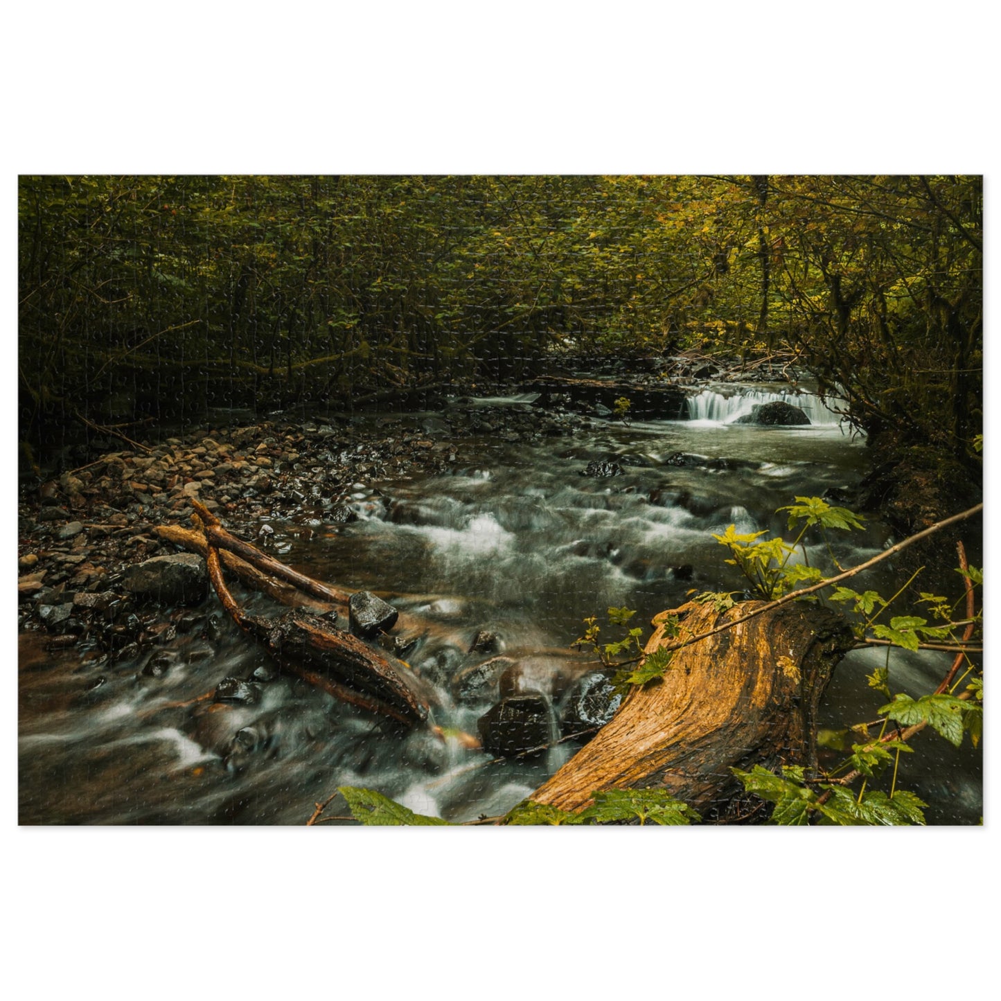 Oregon - Latourell Falls Small Creek - Jigsaw Puzzle (30, 110, 252, 500,1000-Piece)