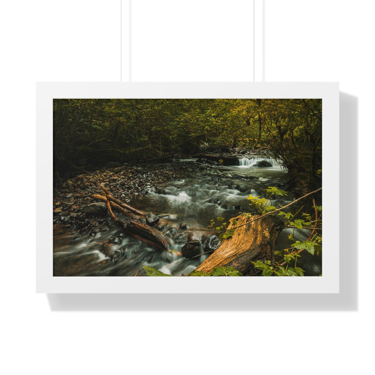 Oregon - Latourell Falls Small Creek - Framed Horizontal Poster