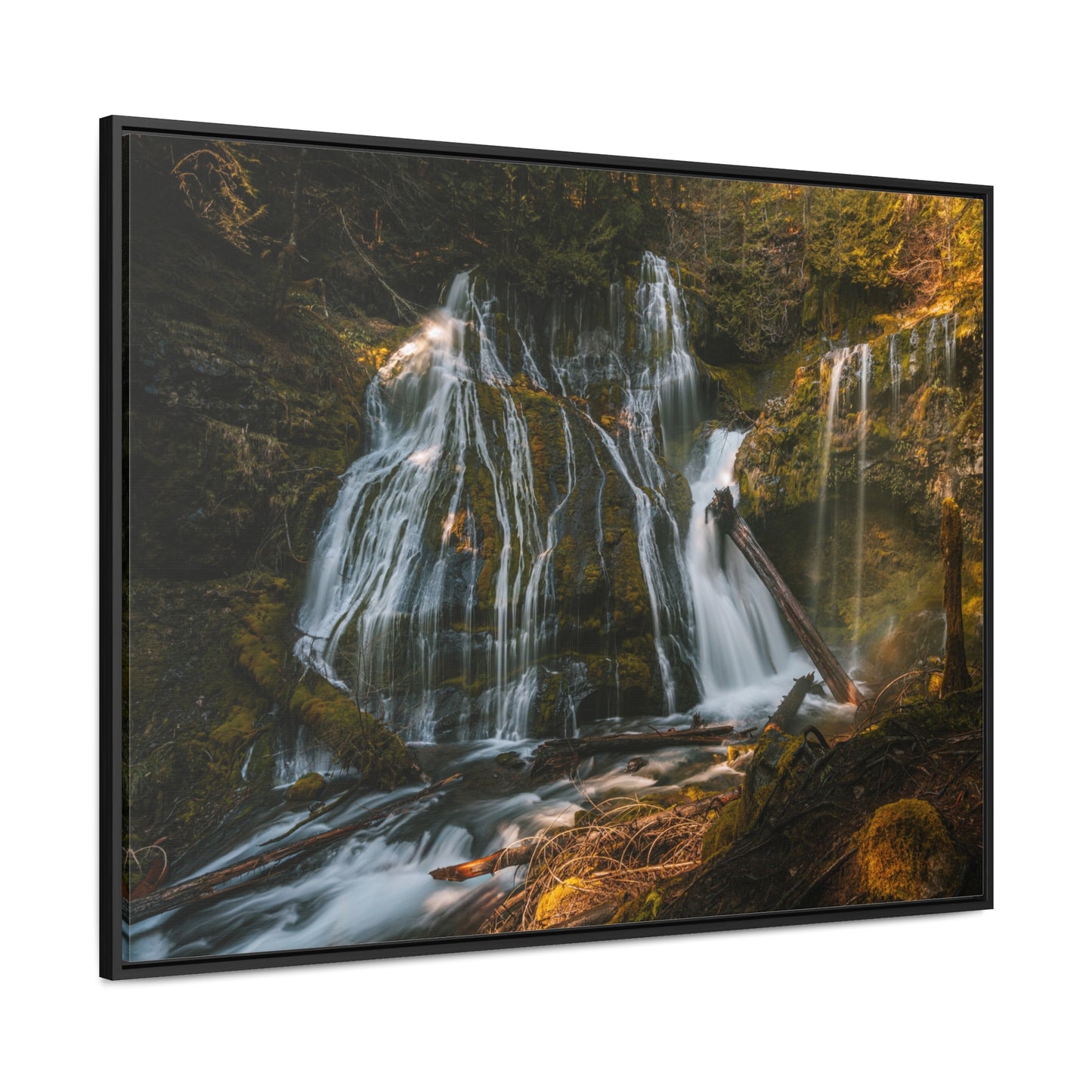 Washington - Panther Creek Falls - Gallery Canvas Wrap, Horizontal Frame