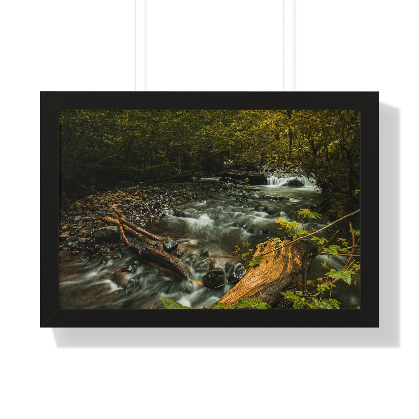 Oregon - Latourell Falls Small Creek - Framed Horizontal Poster