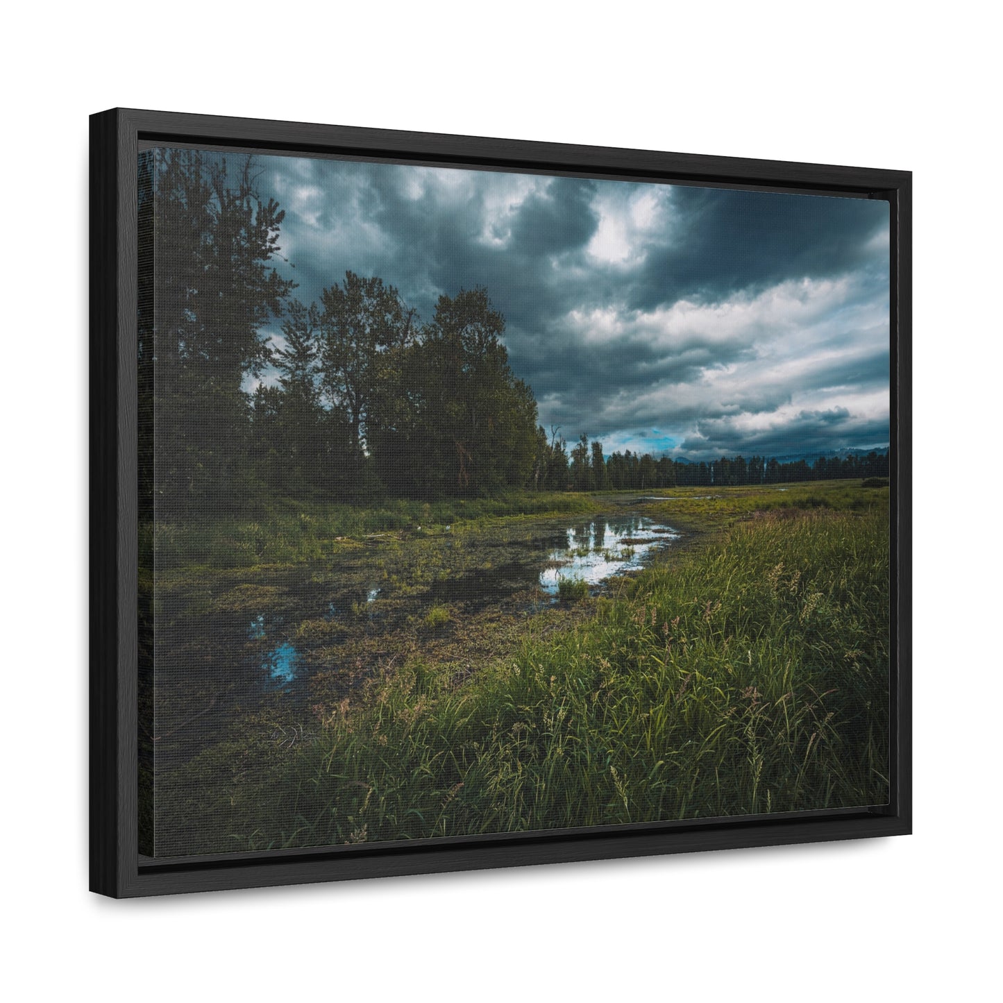 Washington - Steigerwald Lake National Wildlife Refuge - Gallery Canvas Wrap, Horizontal Frame