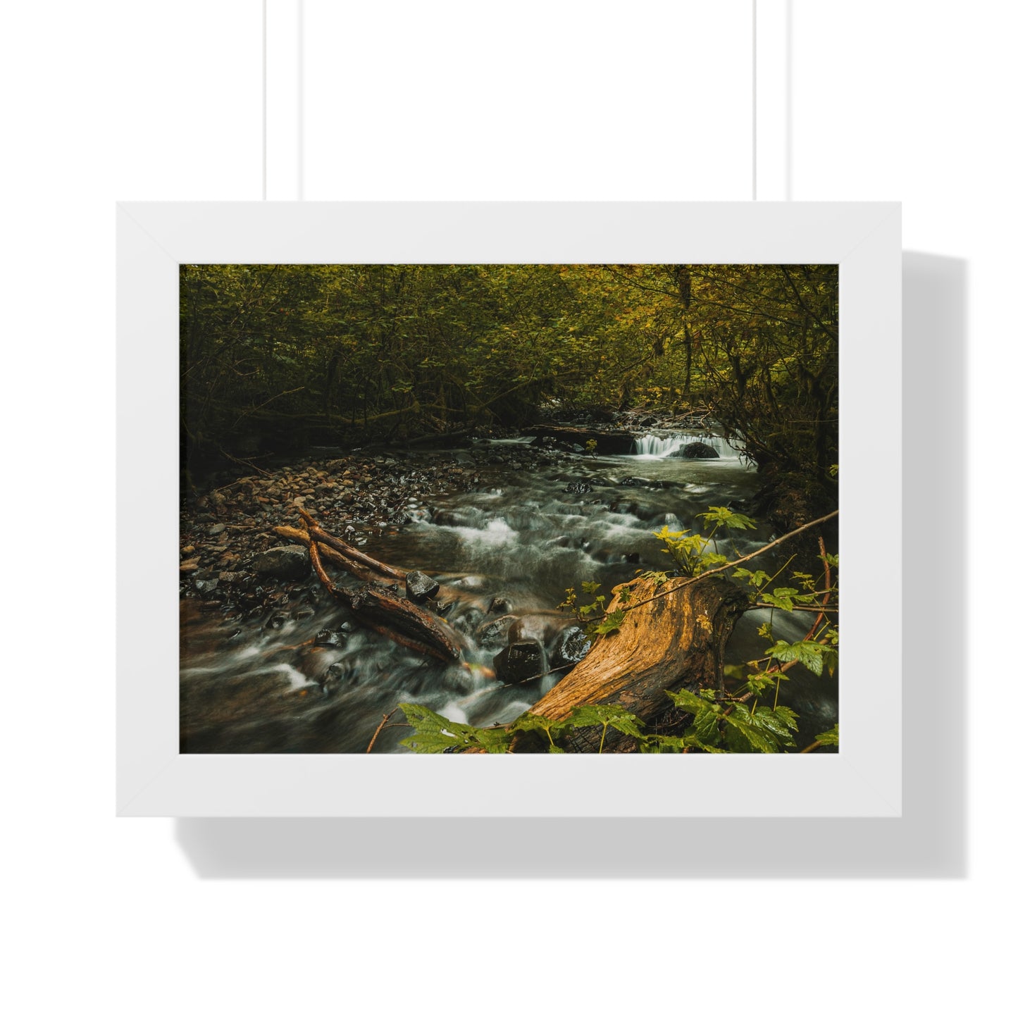 Oregon - Latourell Falls Small Creek - Framed Horizontal Poster