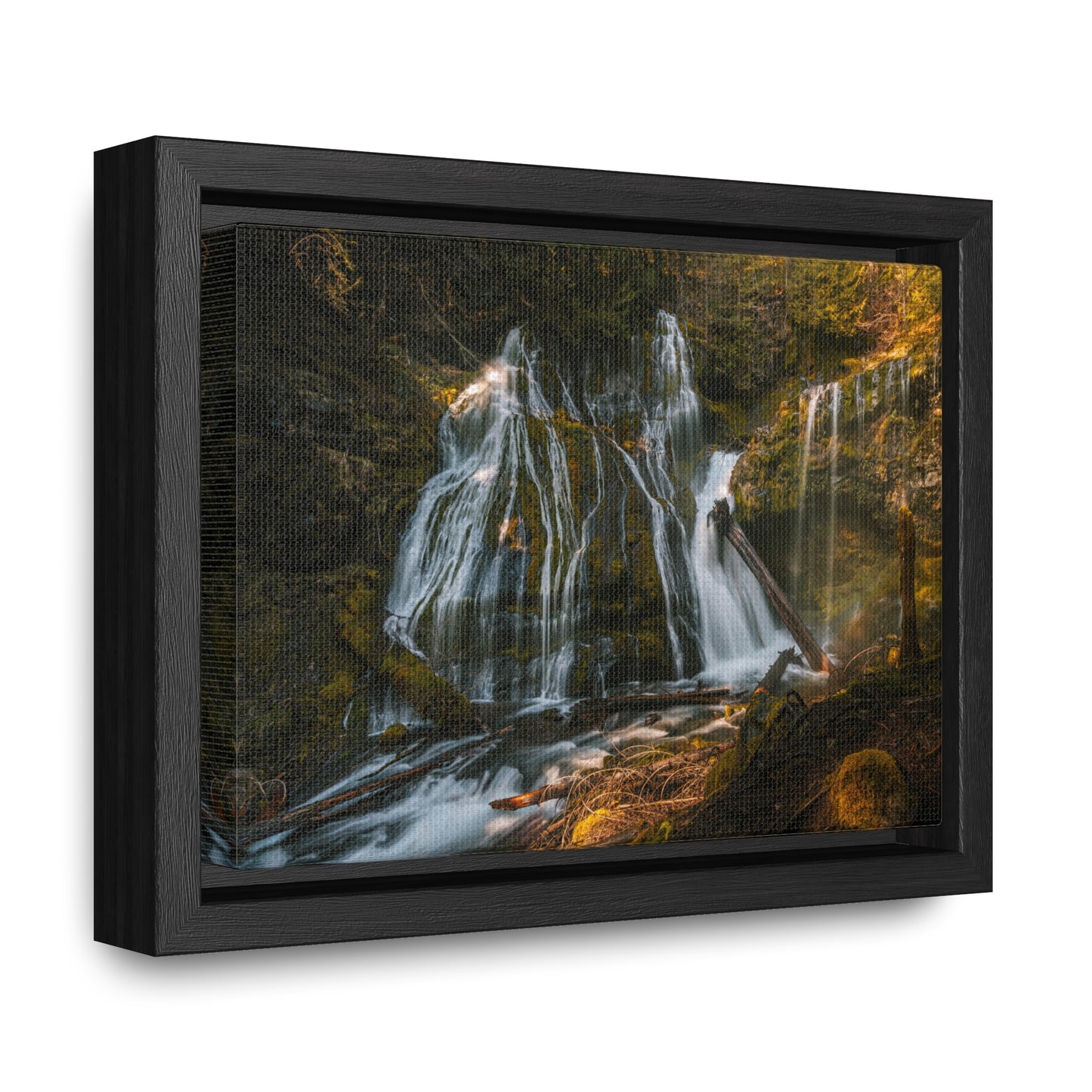 Washington - Panther Creek Falls - Gallery Canvas Wrap, Horizontal Frame