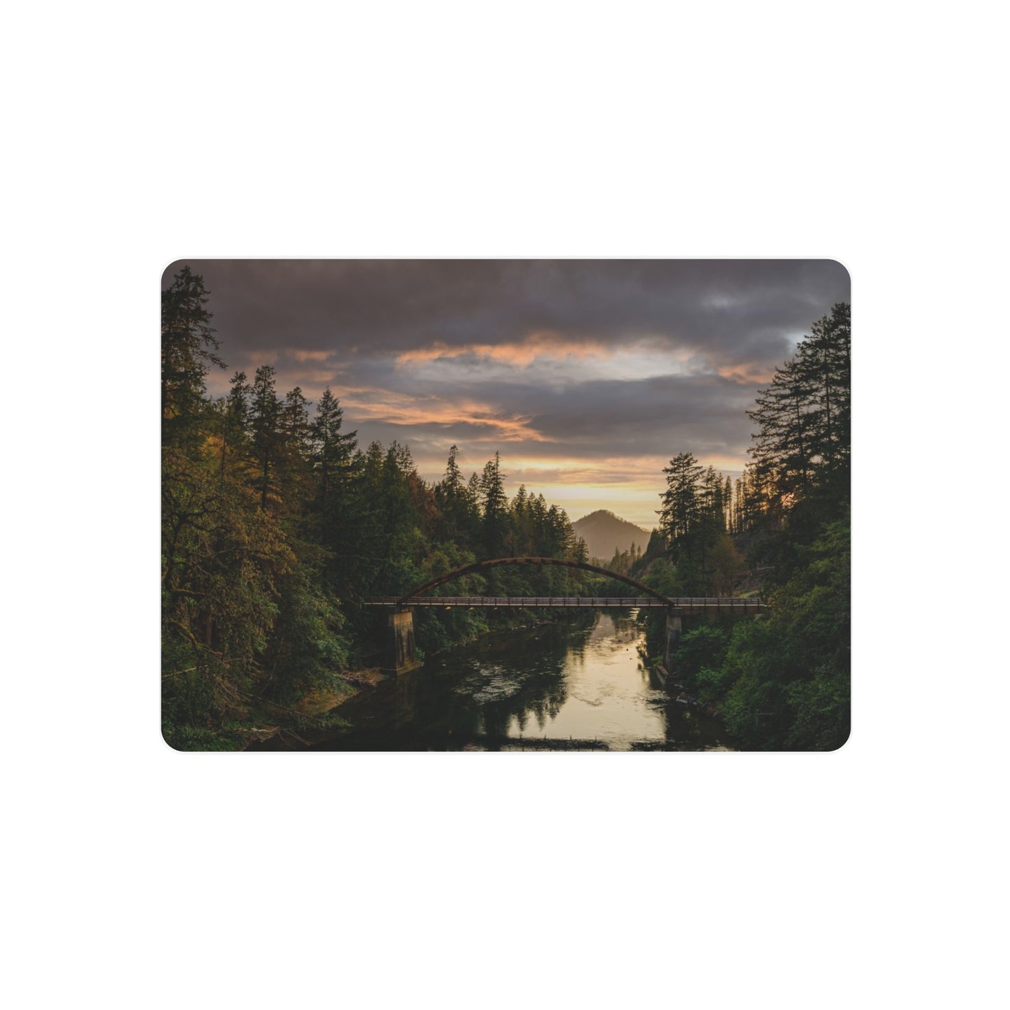 Oregon - Tioga Bridge - Metal Art Sign