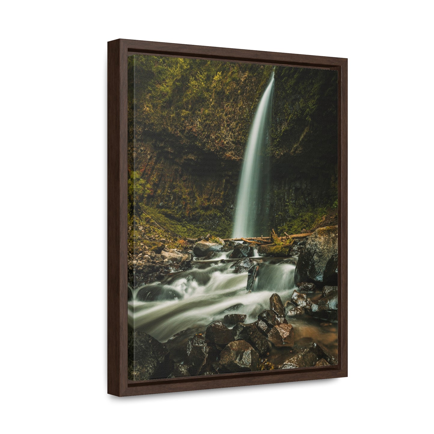 Oregon - Upper Latourell Falls - Gallery Canvas Wraps, Vertical Frame