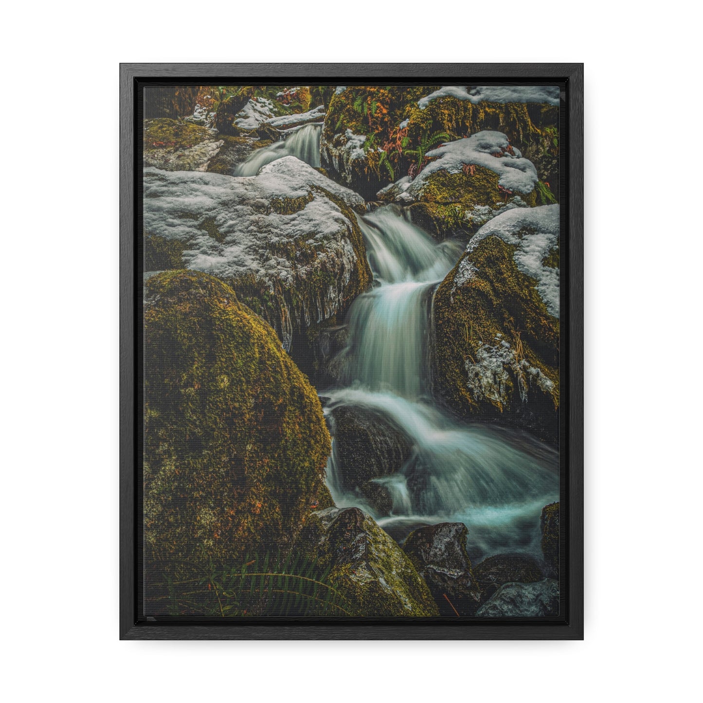 Oregon - Watson Creek - Gallery Canvas Wraps, Vertical Frame