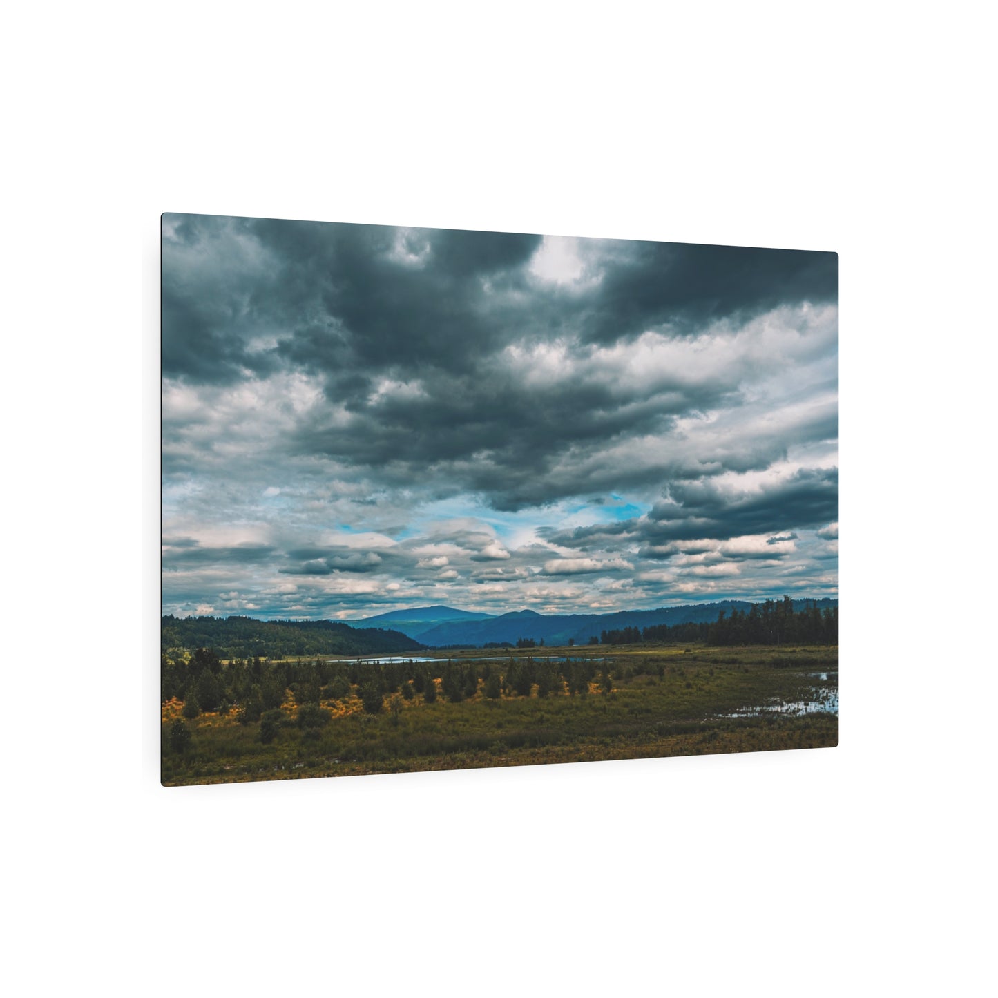 Washington - Steigerwald Lake National Wildlife Refuge - 2 - Metal Art Sign