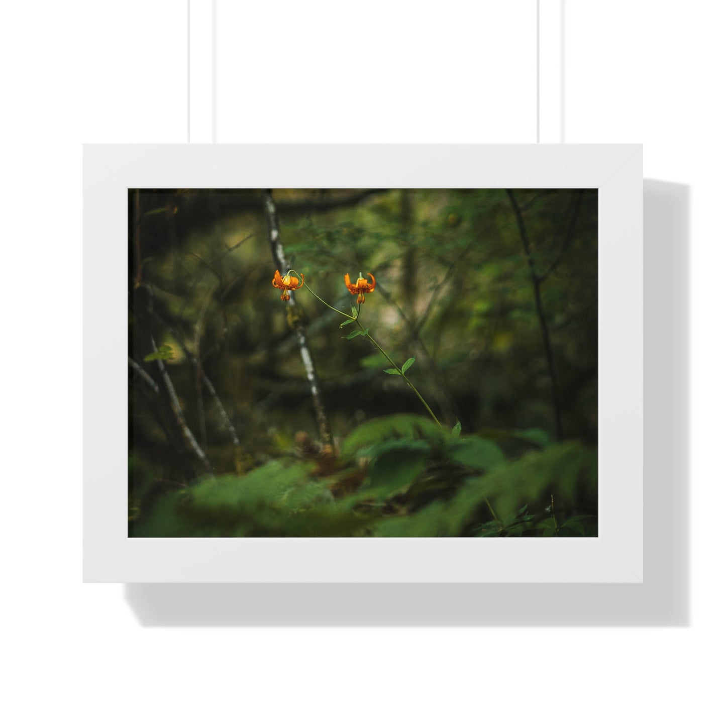 Oregon Tiger Lily - Framed Horizontal Poster