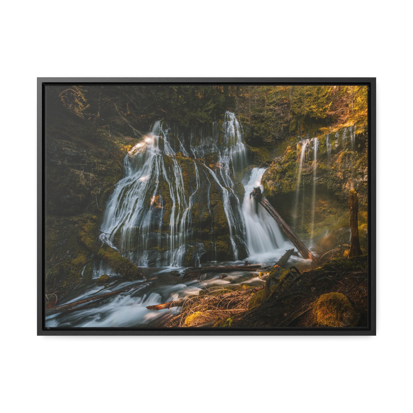 Washington - Panther Creek Falls - Gallery Canvas Wrap, Horizontal Frame