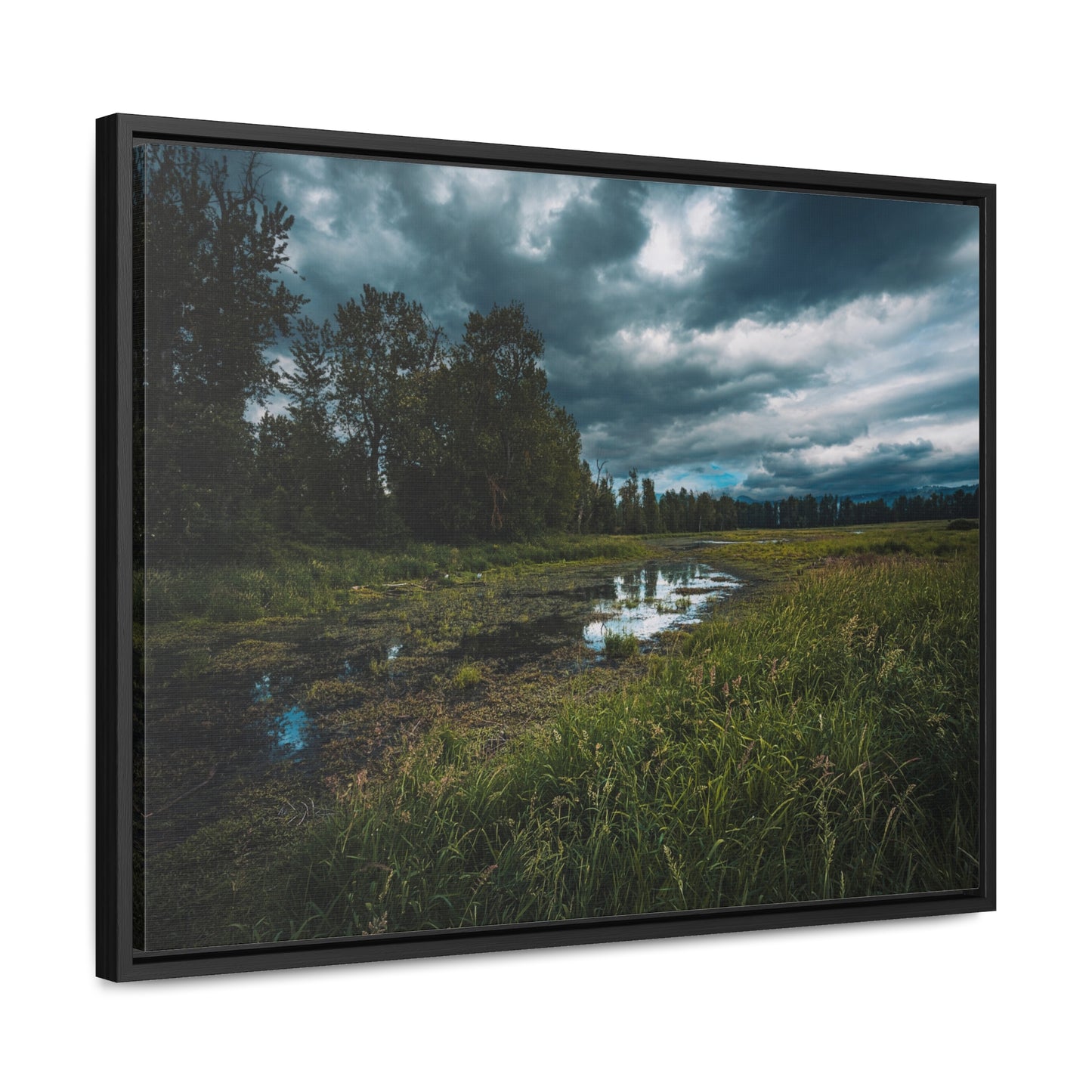Washington - Steigerwald Lake National Wildlife Refuge - Gallery Canvas Wrap, Horizontal Frame