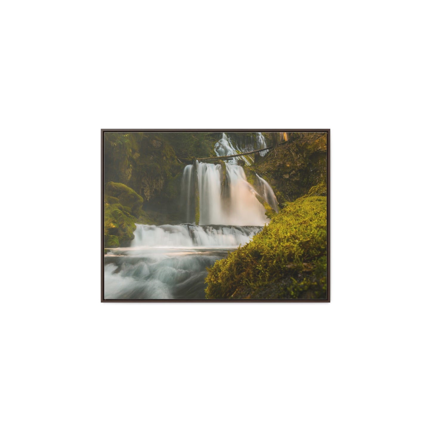 Washington - Lower Panther Creek Falls - Gallery Canvas Wrap, Horizontal Frame