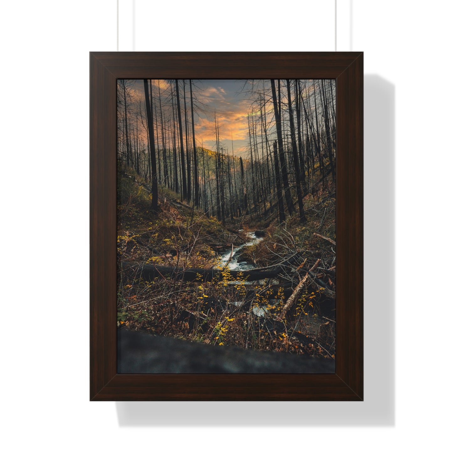 Oregon - Fall Creek Falls - Framed Vertical Poster