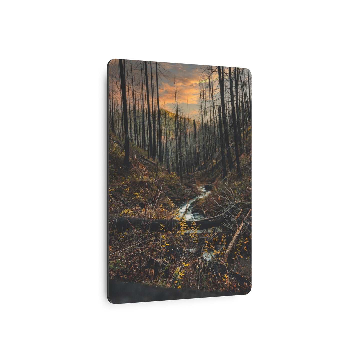 Oregon - Upper Latourell Falls - Metal Art Sign