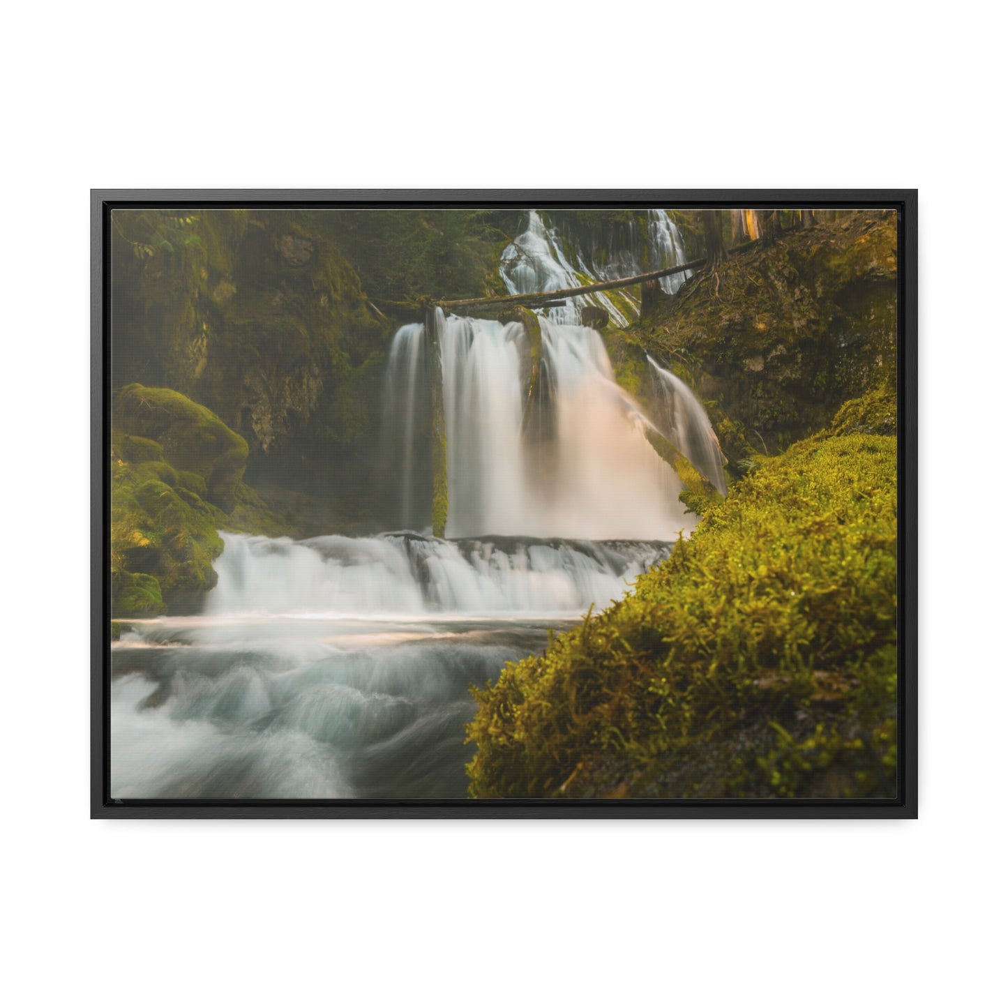 Washington - Lower Panther Creek Falls - Gallery Canvas Wrap, Horizontal Frame