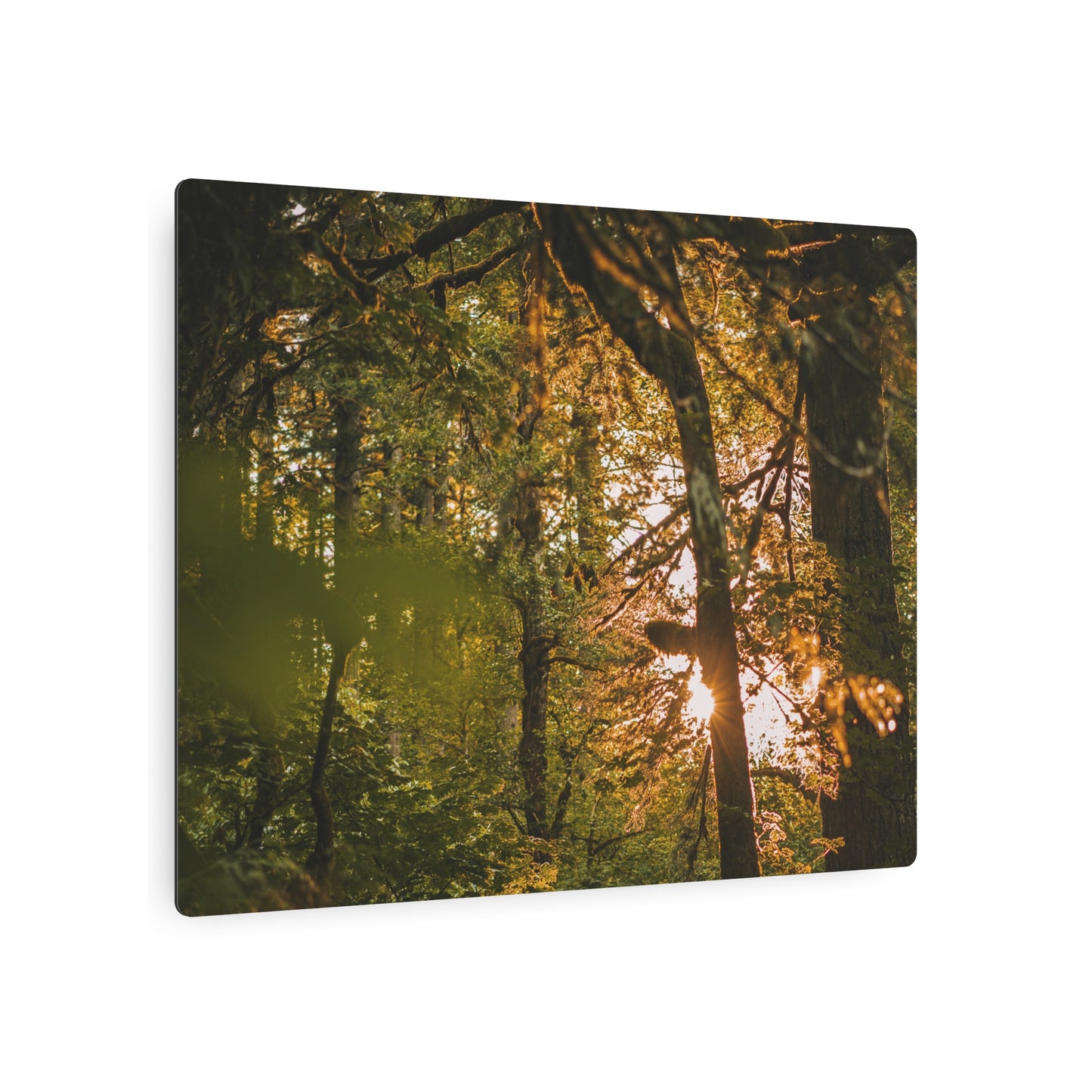 Oregon - Latourell Falls Sunset - Metal Art Sign