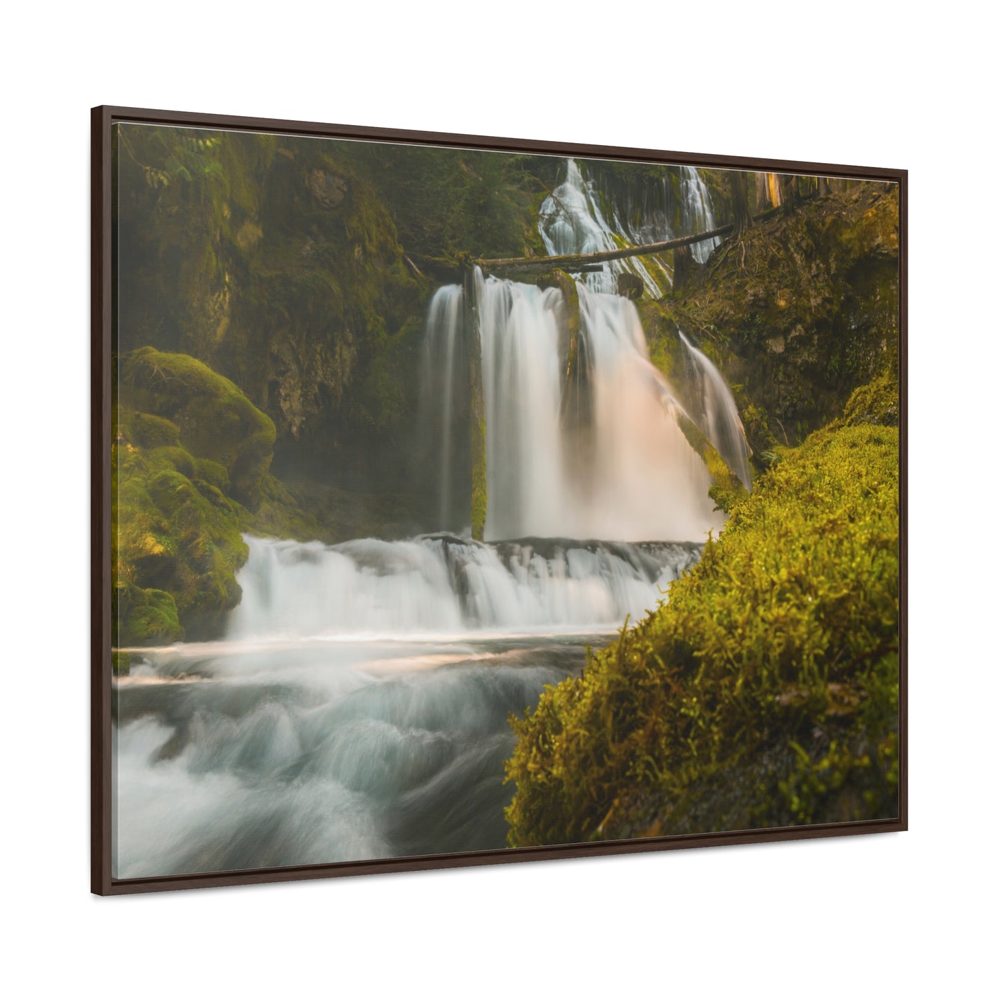 Washington - Lower Panther Creek Falls - Gallery Canvas Wrap, Horizontal Frame