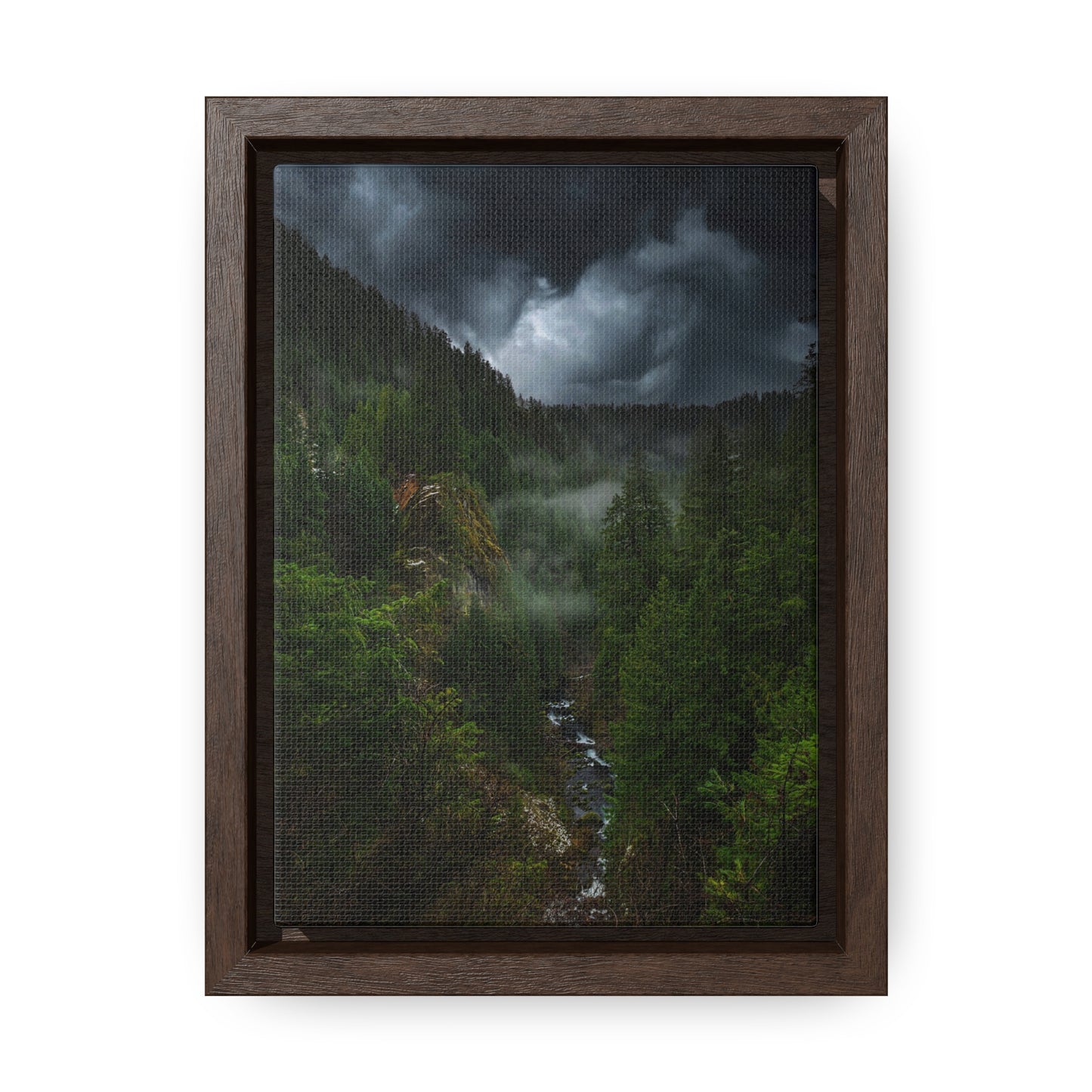 Oregon - Toketee Overlook - Gallery Canvas Wraps, Vertical Frame