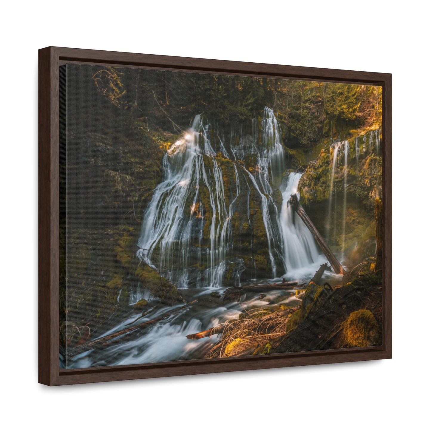 Washington - Panther Creek Falls - Gallery Canvas Wrap, Horizontal Frame