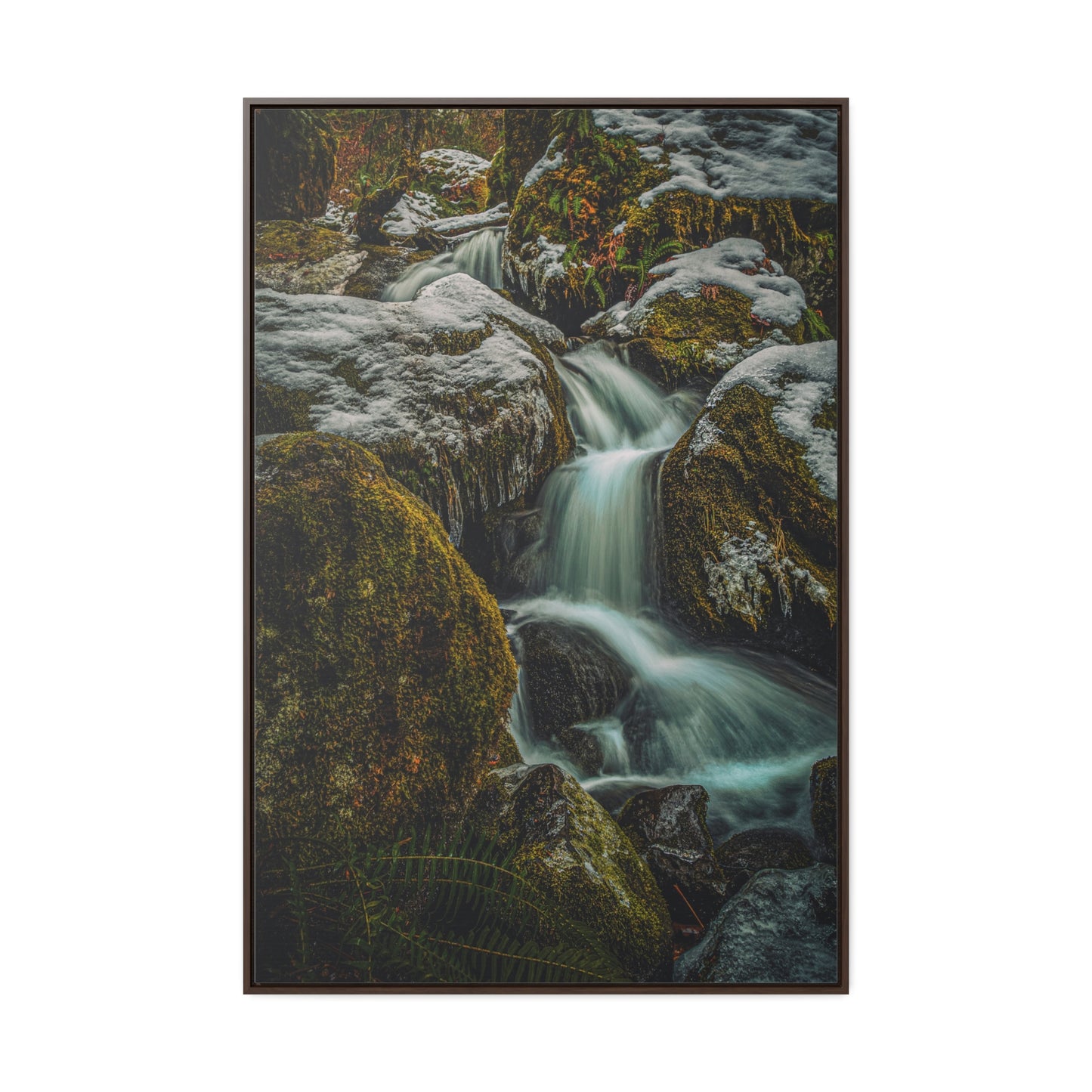 Oregon - Watson Creek - Gallery Canvas Wraps, Vertical Frame