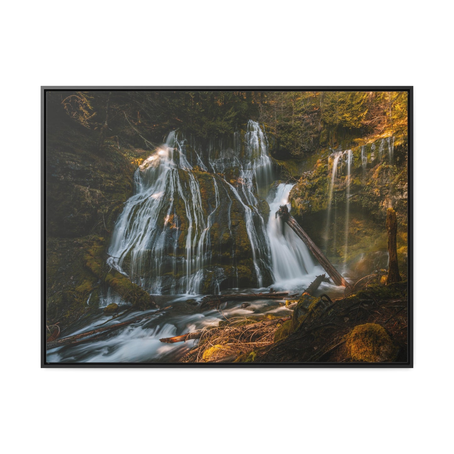 Washington - Panther Creek Falls - Gallery Canvas Wrap, Horizontal Frame