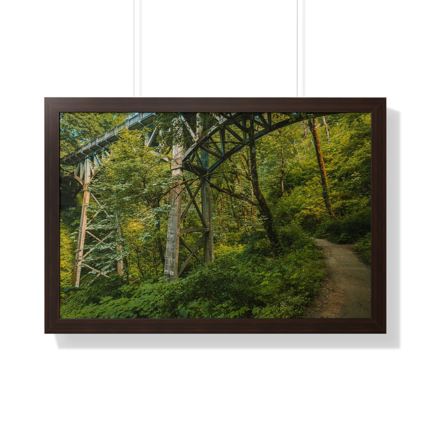 Oregon - Latourell Falls Bridge Trail - Framed Horizontal Poster