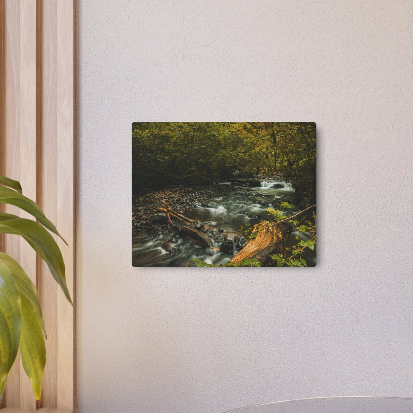 Oregon - Latourell Falls Small Creek - Metal Art Sign