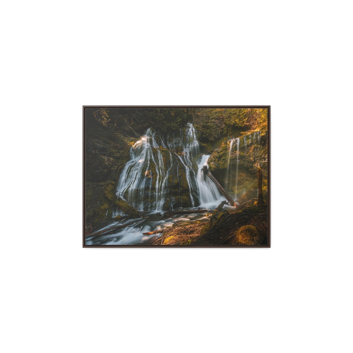 Washington - Panther Creek Falls - Gallery Canvas Wrap, Horizontal Frame