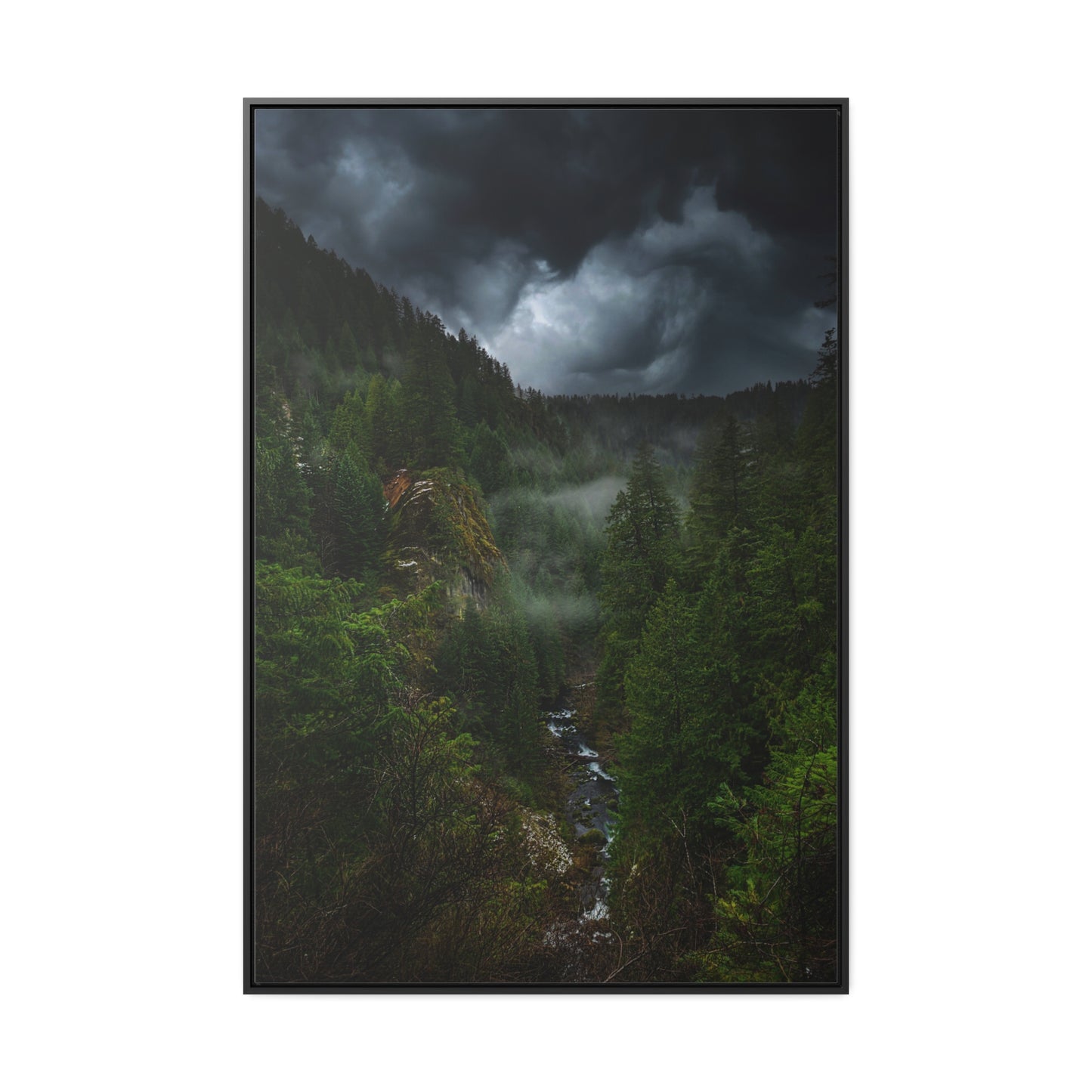 Oregon - Toketee Overlook - Gallery Canvas Wraps, Vertical Frame