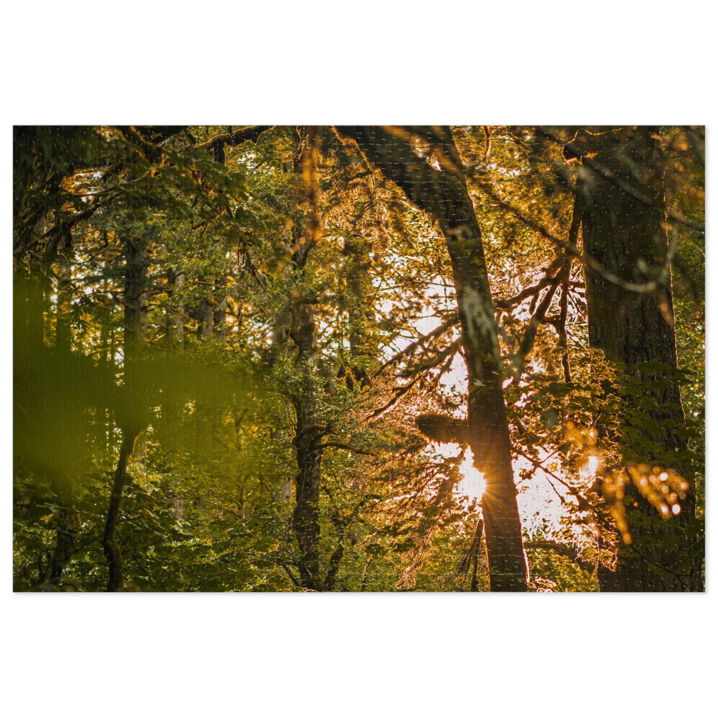 Oregon - Latourell Falls Sunset - Jigsaw Puzzle (30, 110, 252, 500,1000-Piece)