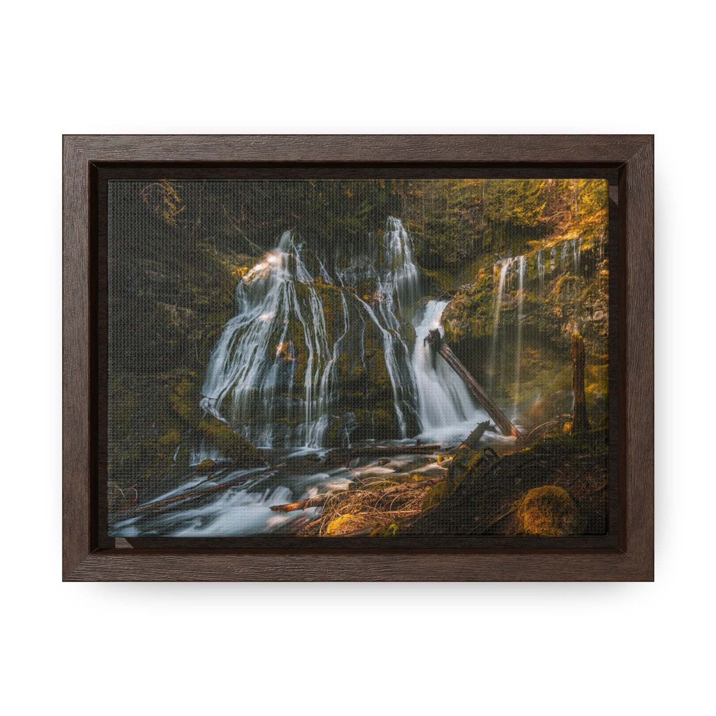 Washington - Panther Creek Falls - Gallery Canvas Wrap, Horizontal Frame