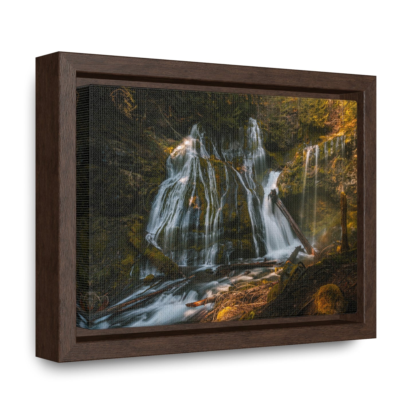 Washington - Panther Creek Falls - Gallery Canvas Wrap, Horizontal Frame