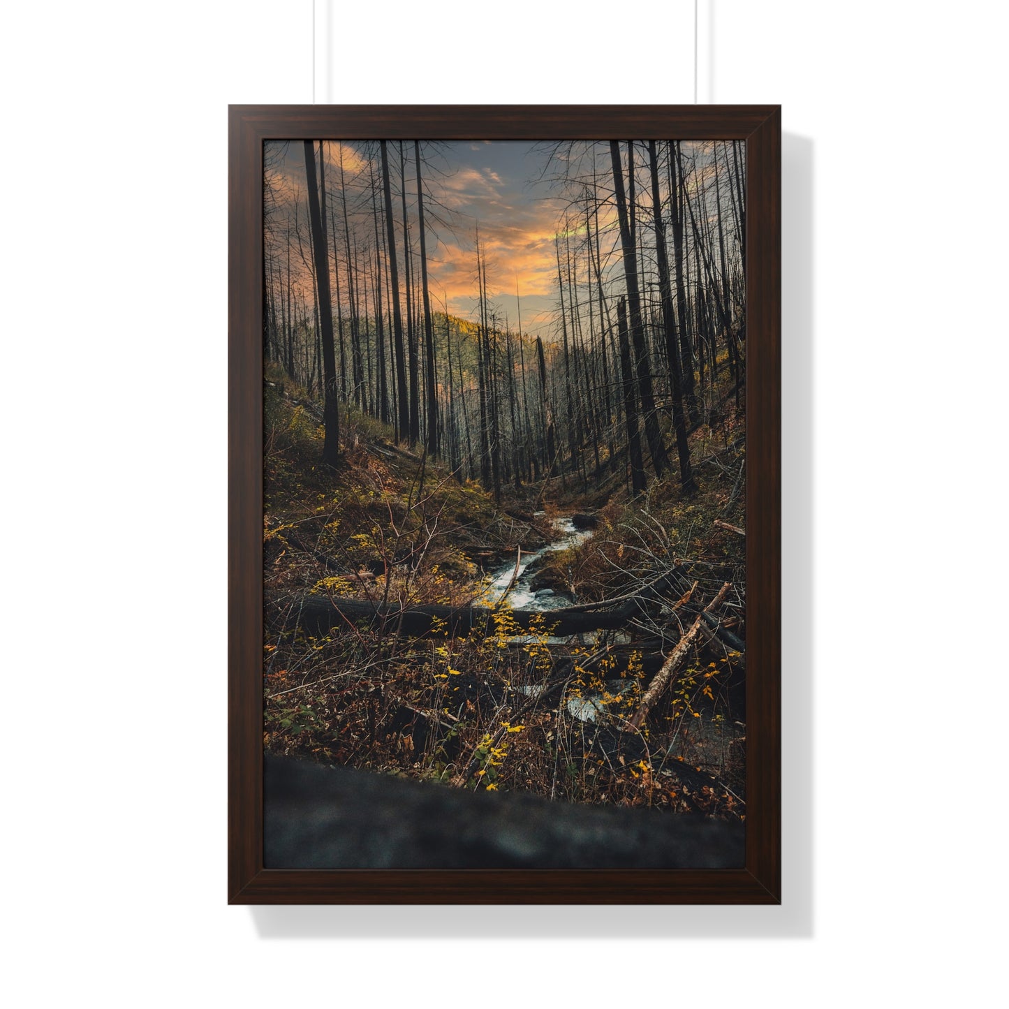 Oregon - Fall Creek Falls - Framed Vertical Poster