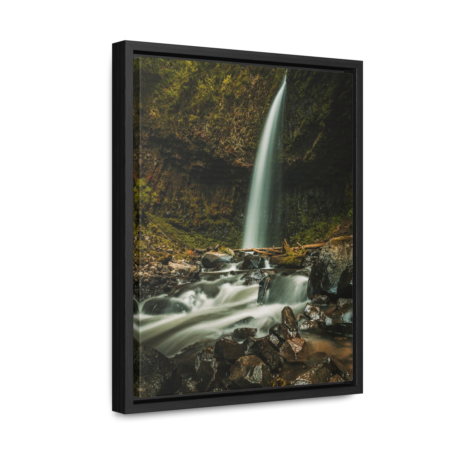 Oregon - Upper Latourell Falls - Gallery Canvas Wraps, Vertical Frame