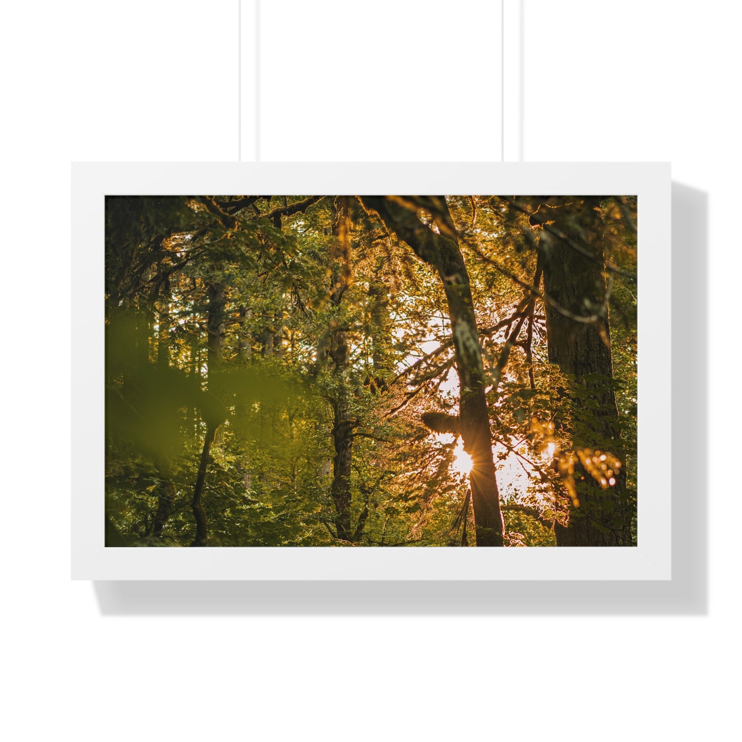 Oregon - Latourell Falls Sunset - Framed Horizontal Poster